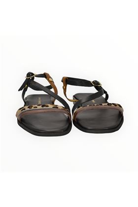  SAINT TROPEZ | Q03-TESTA DI MORO
